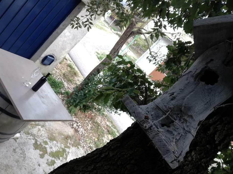 Apartment Dobric Koromačno Exteriör bild